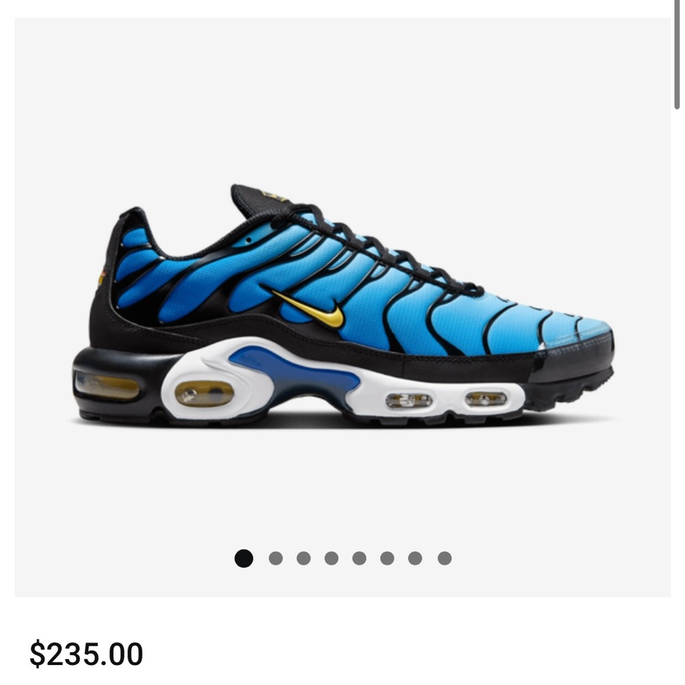 Nike Air Max Plus | Blue Black Sneakers